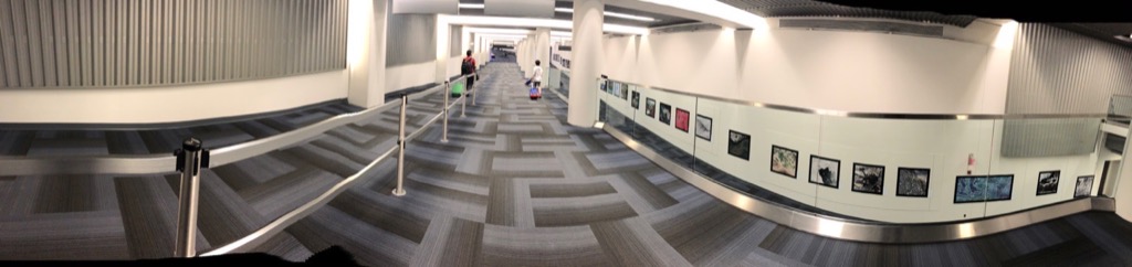 Empty Dulles Airport corridor during COVID-19 pandemic, August 2020